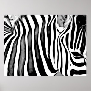 Affiche Gros plan pour Zebra