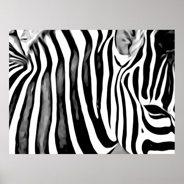 Affiche Gros plan pour Zebra (Devant)