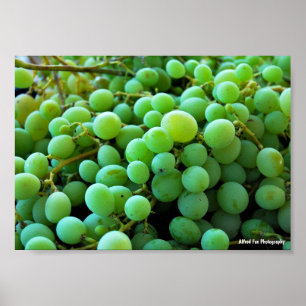 Affiche Gros plan sur des raisins blancs