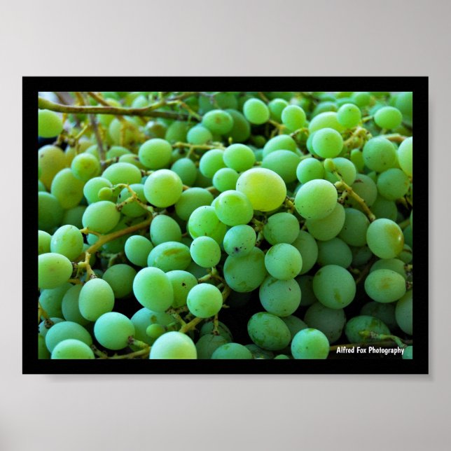Affiche Gros plan sur des raisins blancs (Devant)