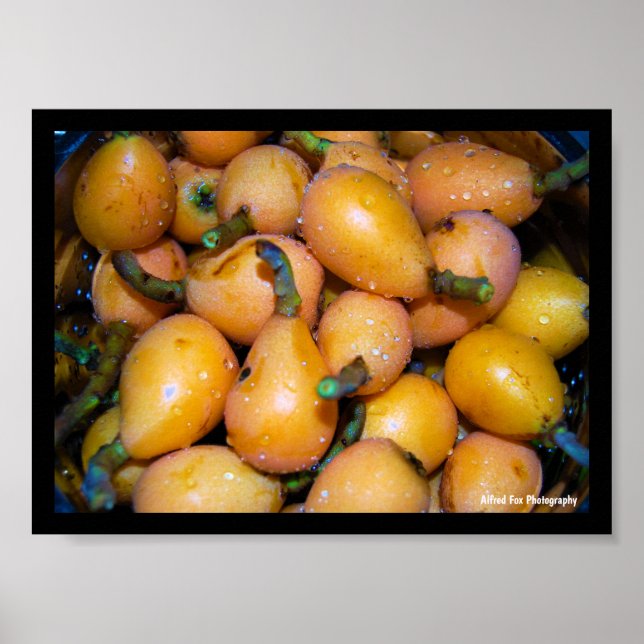 Affiche Gros plan sur le fruit de néflier (Devant)