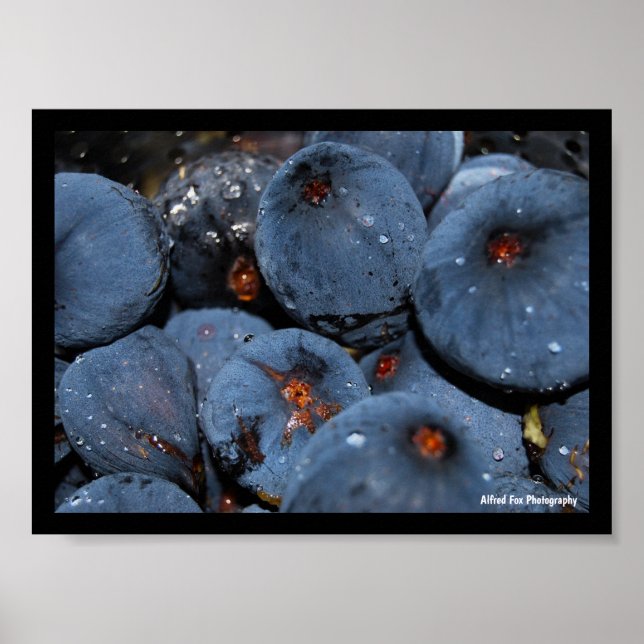 Affiche Gros plan sur le fruit du figuier (Devant)