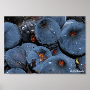 Affiche Gros plan sur le fruit du figuier