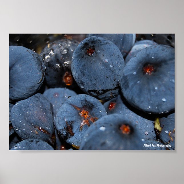 Affiche Gros plan sur le fruit du figuier (Devant)