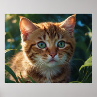 *~* Gros Plan Tabby Kitty Chat 5:4 Feline Kitten