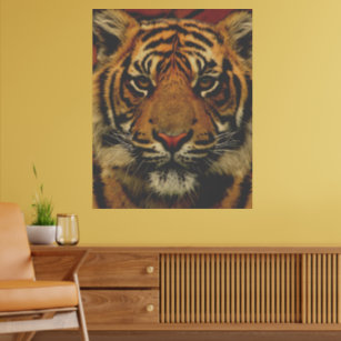 Affiche Gros tigre
