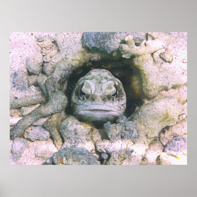 Affiche Grosse cruche (Devant)