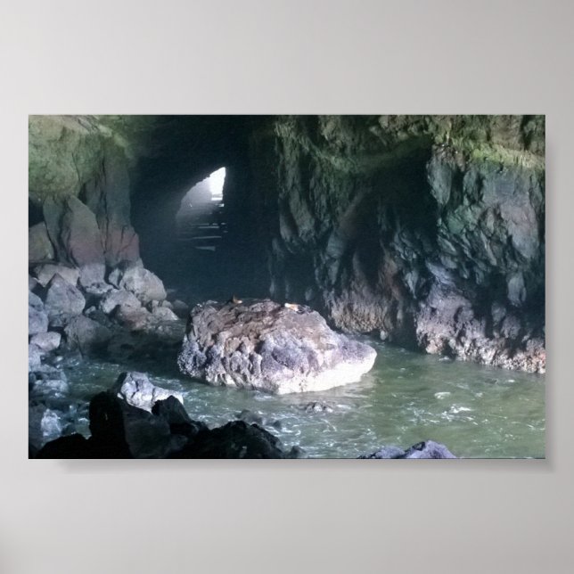 Affiche Grotte de lion de mer, OU (Devant)