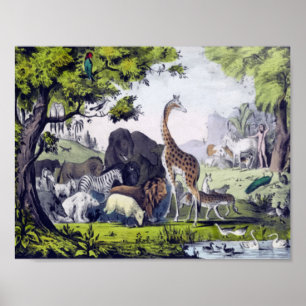 Affiche Groupe d'animaux