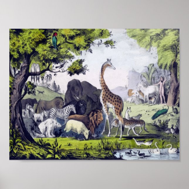 Affiche Groupe d'animaux (Devant)