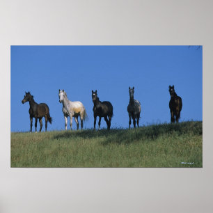 Affiche Groupe d'Arabes