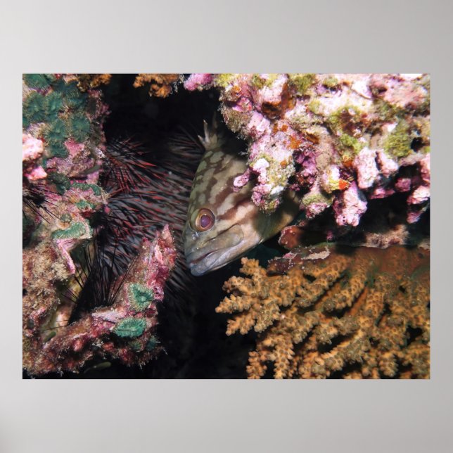 Affiche Groupe de pointage (Devant)