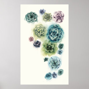 Affiche Groupe de succulents