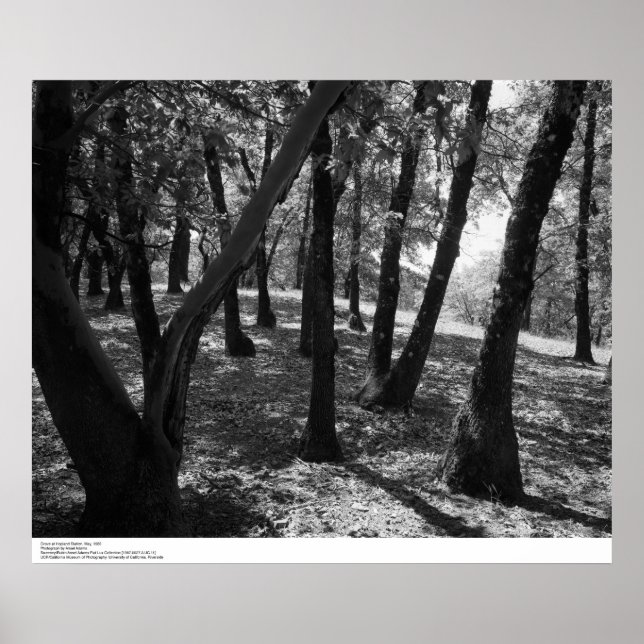 Affiche Grove à Hopland Station, 1966 (Devant)