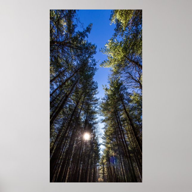 Affiche Groveport, Walnut Woods Metro Park, Groveport, OH (Devant)