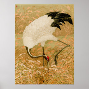 Affiche Grue dans le champ de riz