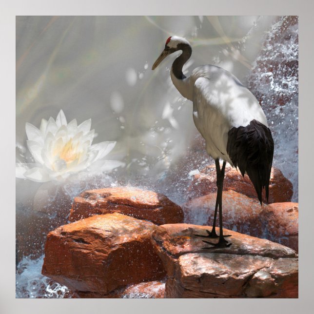 Affiche Grue japonaise "Longévité" (Devant)