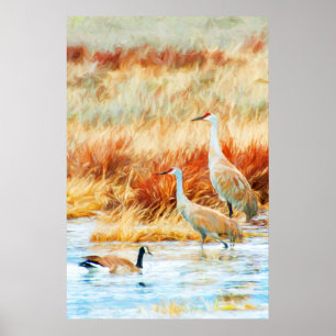 Affiche Grues de Numidie & Oie