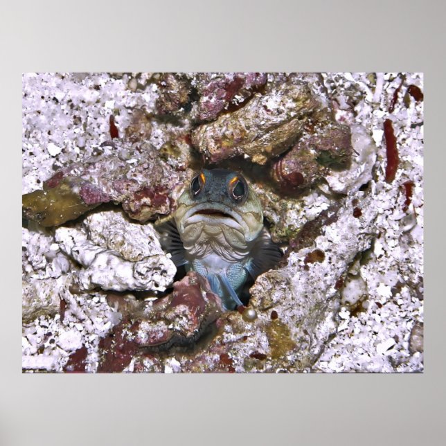 Affiche Grumeux (Devant)