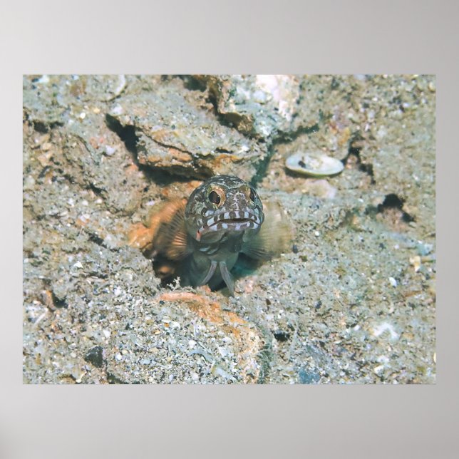 Affiche Grumeux (Devant)
