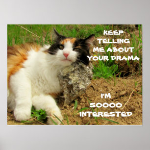 Affiche Grumpy Calico Cat Drama Sarcasme