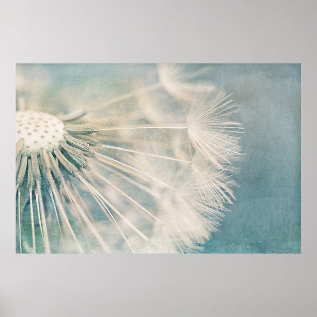 Affiche Grunge Dandelion (Devant)