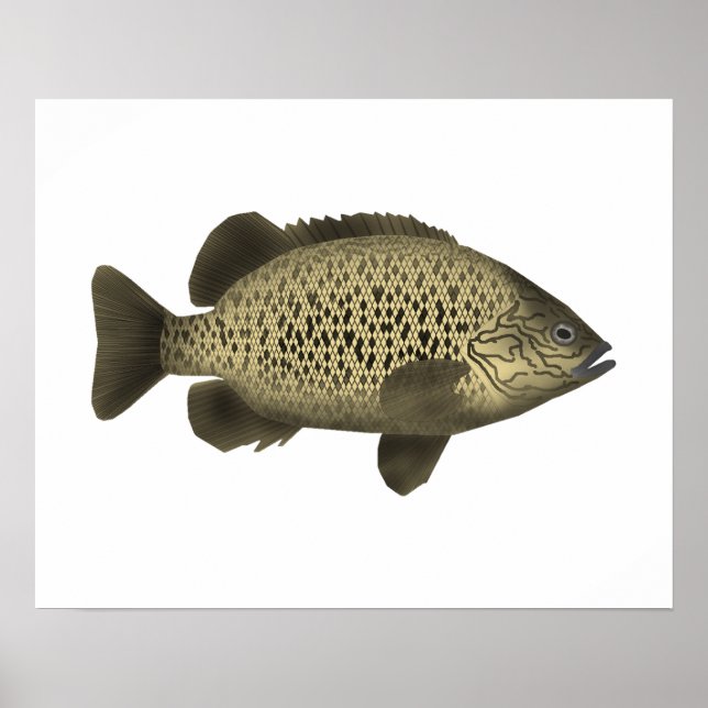 Affiche Grunter le charbon (Devant)