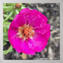 Gryforaday Purple Floral Print