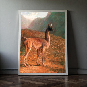 Affiche Guanaco (vers 1848) peinture de Jacques–Laurent Ag
