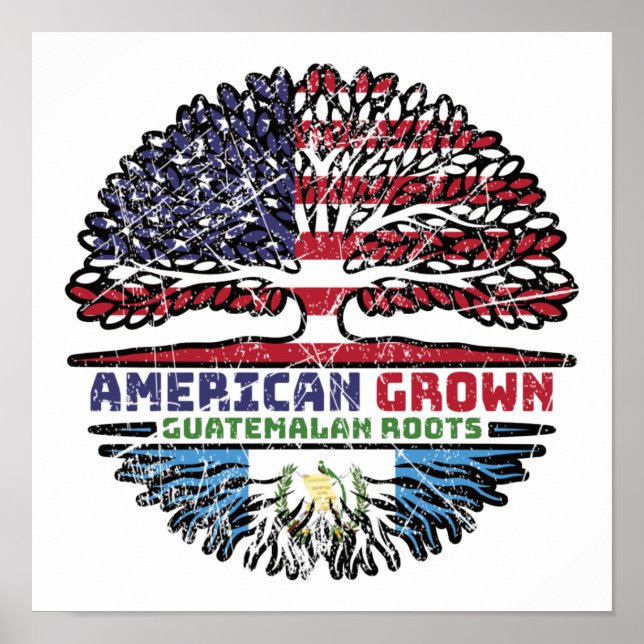 Affiche Guatemala États-Unis États-Unis États-Unis (Devant)