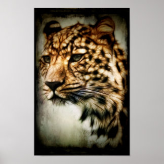 Affiche Guépard