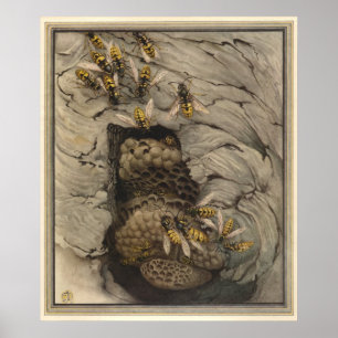 Affiche GUÊPES COMMUNES - illustration de livre d'insecte