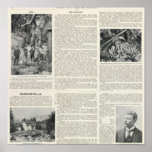 Affiche Guerneville, California