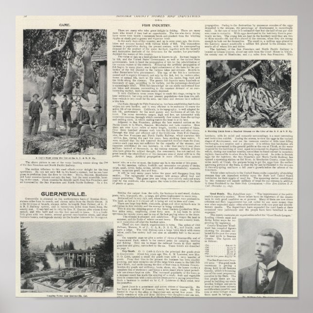 Affiche Guerneville, California (Devant)