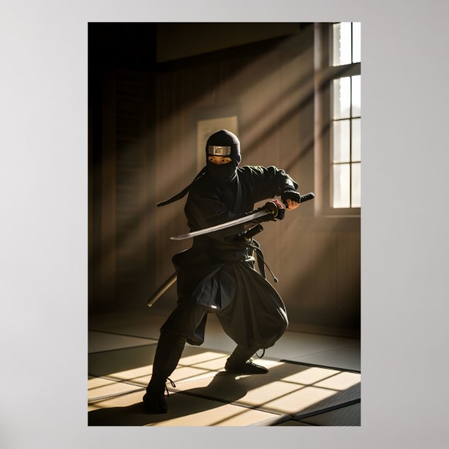 Affiche Guerrier de l'ombre Ninja Japonais (Devant)