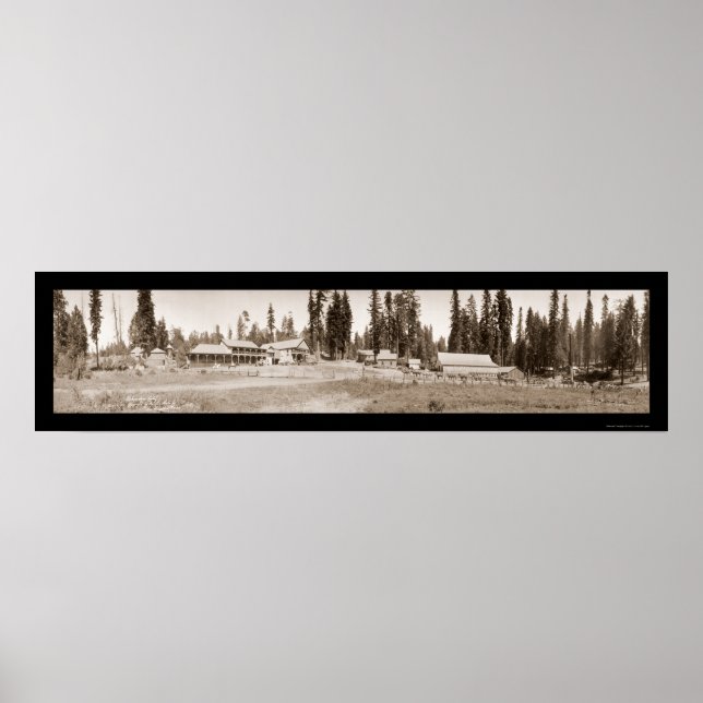 Affiche Guest Ranch Horse Fun Photo 1911 (Devant)