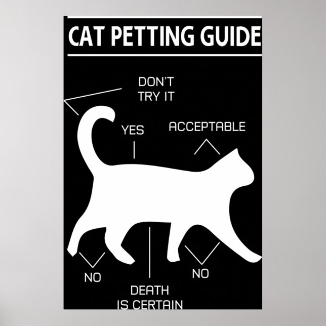 Affiche Guide de préparation de chats (Devant)