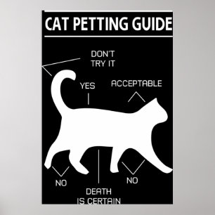 Affiche Guide de préparation des chats