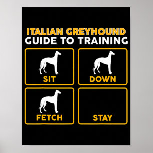Affiche guide ludique italien greyhound