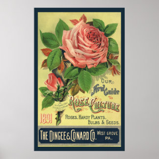 Affiche Guide vintage de la culture Rose Couverture du liv