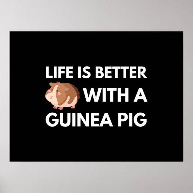 Affiche Guinéen Pig Lover (Devant)