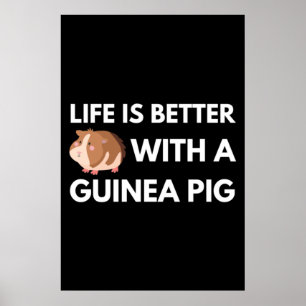 Affiche Guinéen Pig Lover