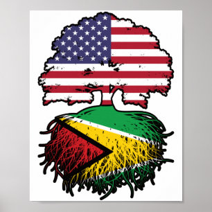 Affiche Guyane Guyane Américaine Etats-Unis Drapeau des ra