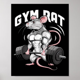 Affiche Gym Rat Funny Bodybuilding Fitness entraînement Gy