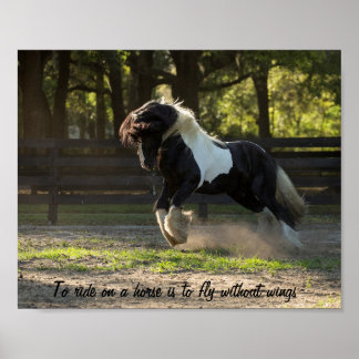 Affiche Gypsy Gold Vanner prend son envol