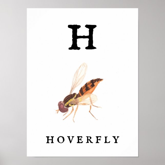Affiche "H" Papier d'affiche "H", papier d'affiche "Value" (Devant)