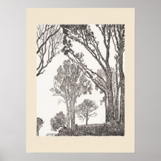 Affiche Haies de Cornouailles Eleanor Hughes ReStrike Affi