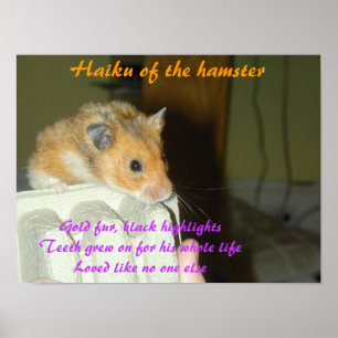 Affiche Haiku du Hamster 1