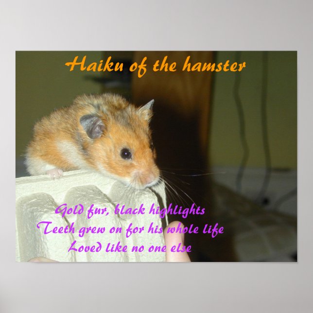 Affiche Haiku du Hamster 1 (Devant)