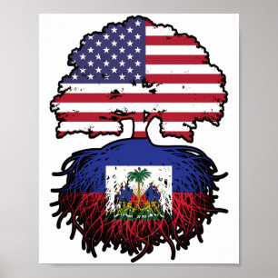 Affiche Haïti Haïti Amérique États-Unis Drapeau des racine